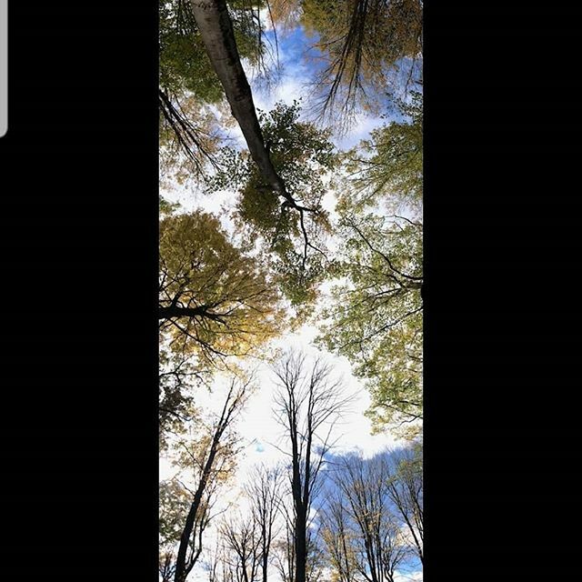 they live / photo by dg ift.tt/2NEr4Ug