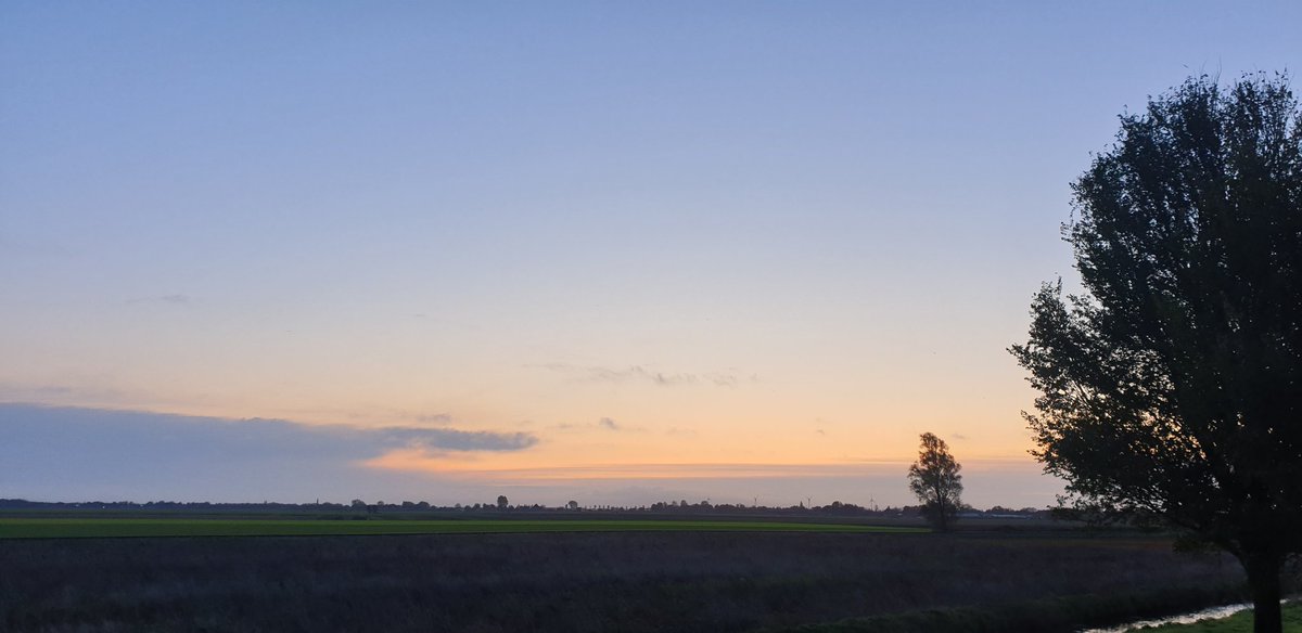 DiGiKERK tweet media