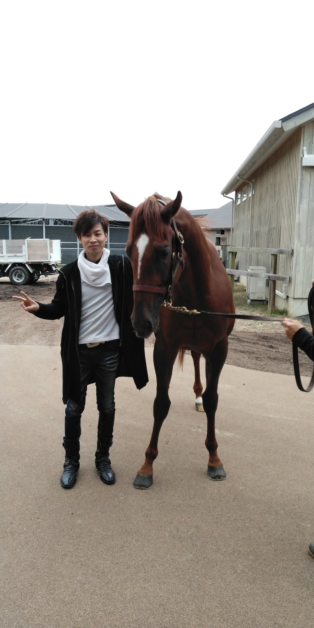 こち 愛馬サリオスに会ってきました とにかくデカイ ﾟdﾟ 今のところ 脚の不安もなく元気らしいです 現在564 みたいです 次走については 苦笑いでわかりませんとのことでした サリオス ノーザンファームしがらき T Co Miuxkch6vc