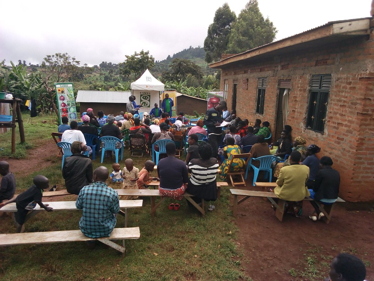 IFDC_REACH project supporting farmers to have access to quality seeds for vegetables and other inputs through sustainable linkages