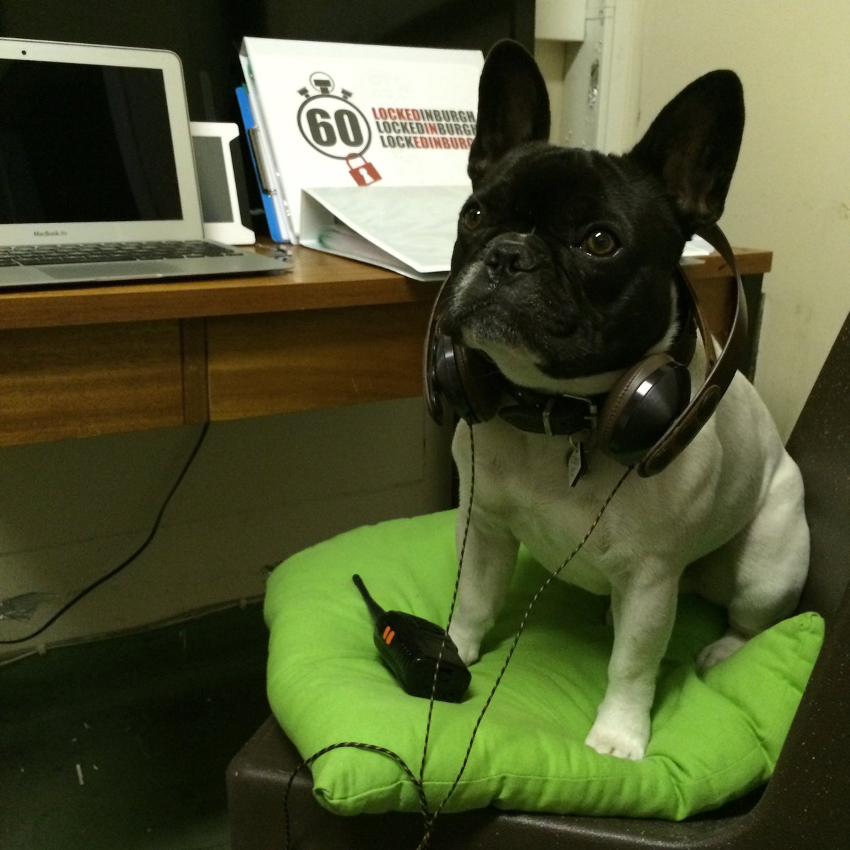 Pups waiting <a href="/Lock_Us_Up/">Lock Us Up</a>