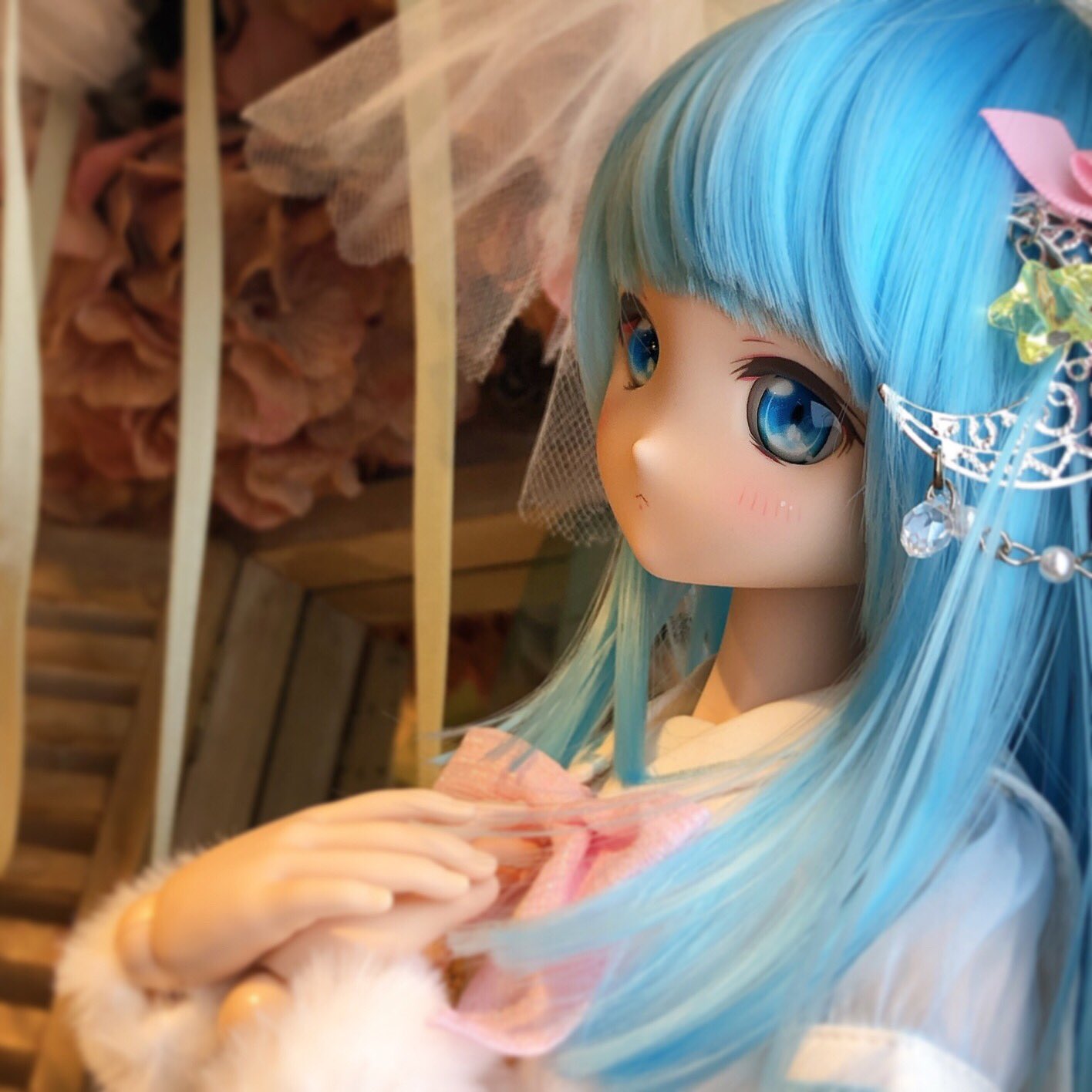 DDP コロン ドルフィードリームプリティ