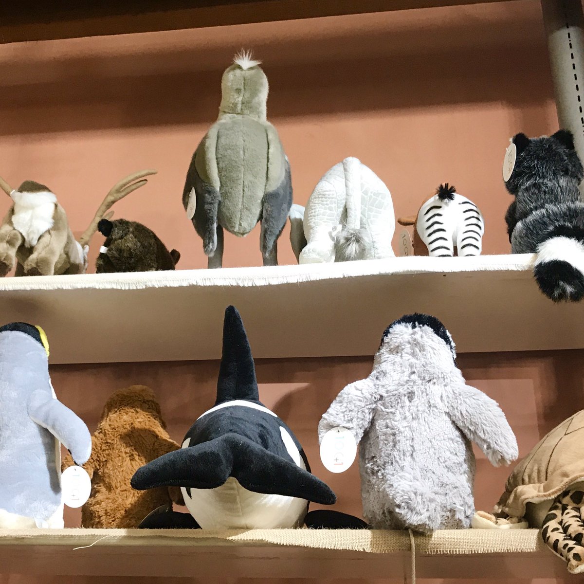 太洋産業貿易 動物ぬいぐるみや フィギュアなど 弊社の商品をほぼすべてお取り扱いいただいている名古屋港駅 Jetty West 2階 ゼペットマート 様です 名古屋観光や 名古屋港水族館 無理矢理 ナゴヤドームのご予定に合わせて立ち寄りたいお店です 太洋産業貿易 動物ぬいぐるみや フィギュアなど 弊社の商品をほぼすべてお取り扱いいただいている名古屋港駅 Jetty West 2階 ゼペットマート 様です 名古屋観光や 名古屋港水族館 無理矢理 ナゴヤドームのご予定に合わせて立ち寄りたいお店です
