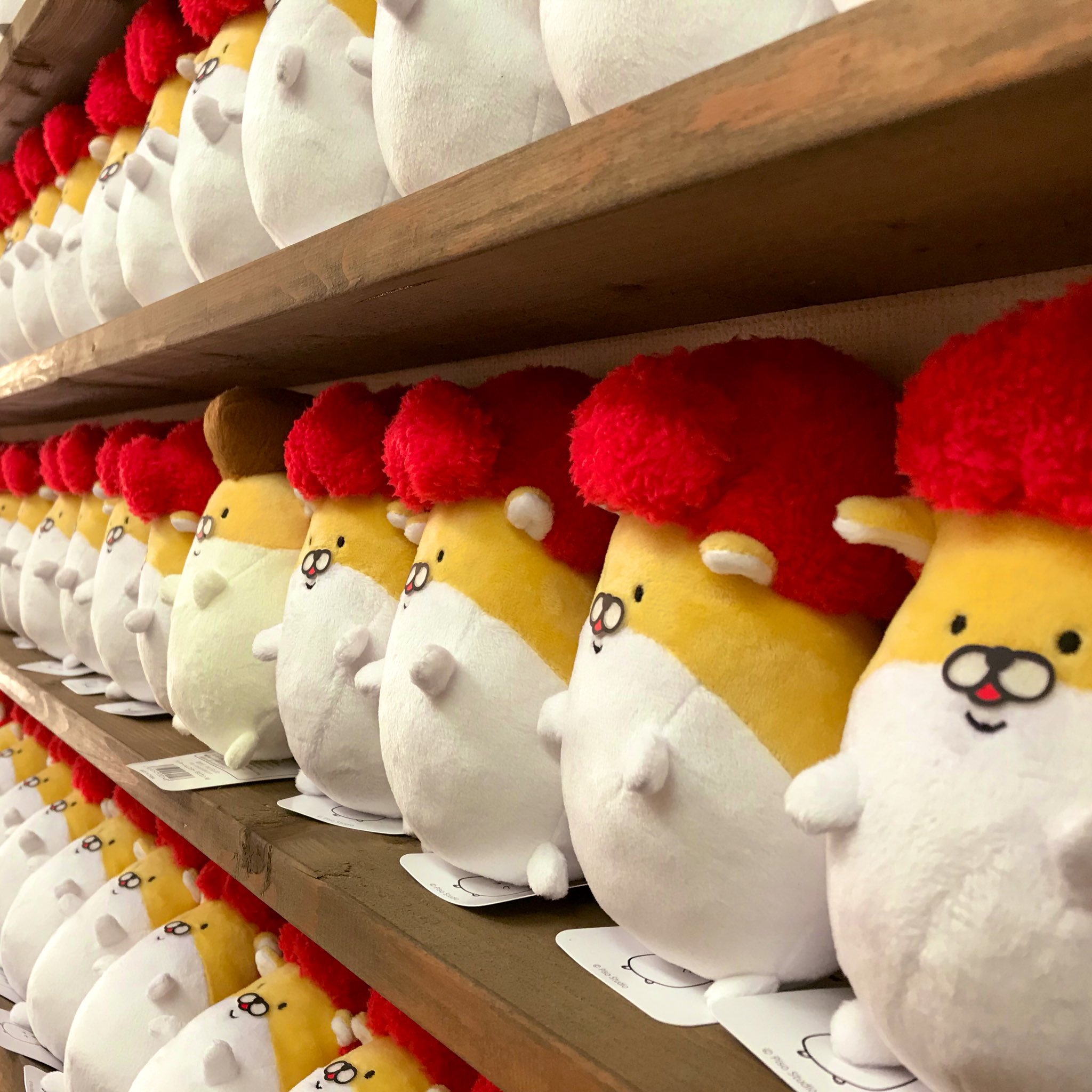 Twitter 上的 デザイン工房 虎の子屋 本日ヤンハム販売会 虎の子屋の最終日 オープン前からたくさんのヤンハムファンが集まってくれて 初日同様行列がなかなか途切れずの大盛況 みんな後輩ウォールからお気に入りの1匹を楽しそうに探してた 神戸 北海道も