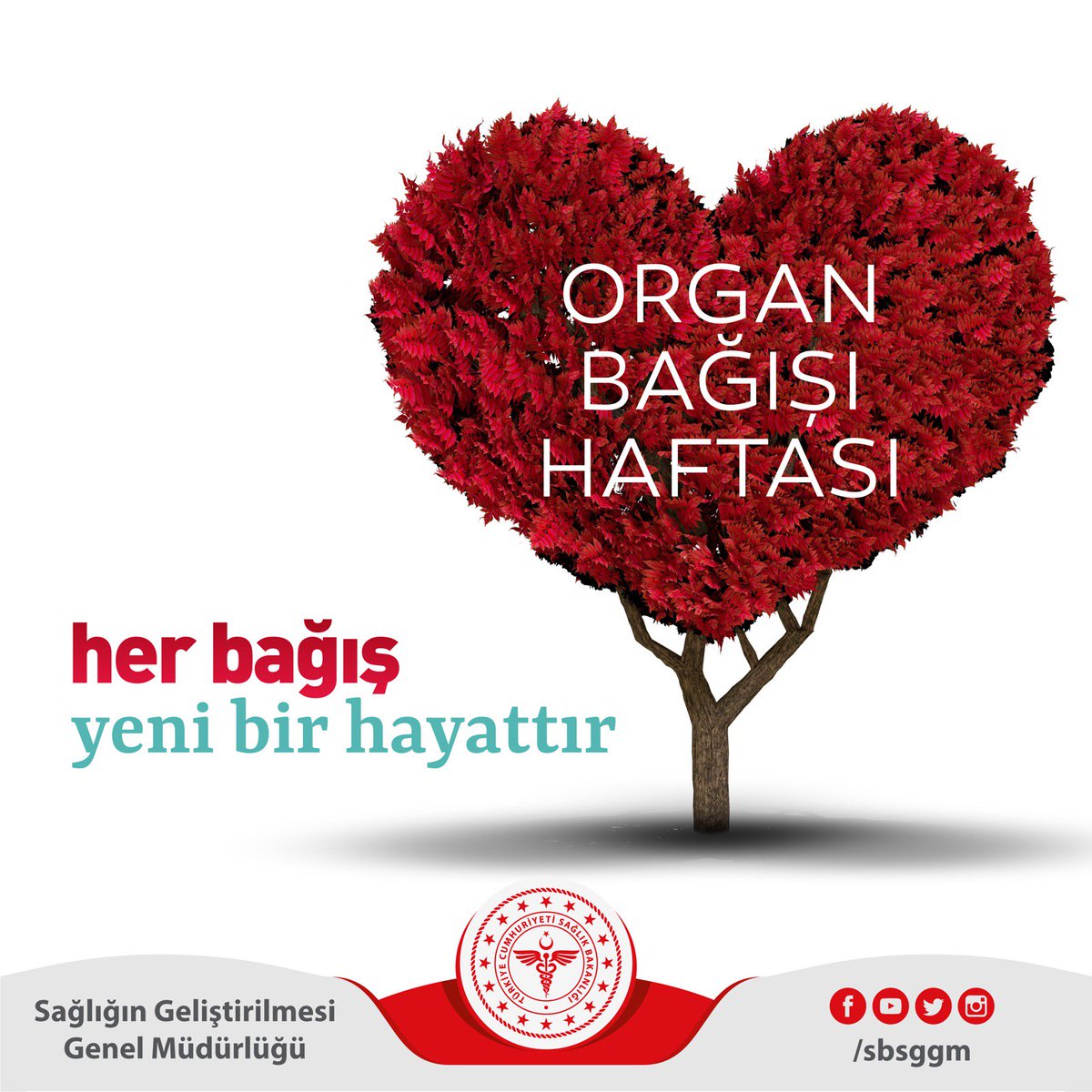 Her bağış, yeni bir hayattır.
#OrganBağışıHaftası