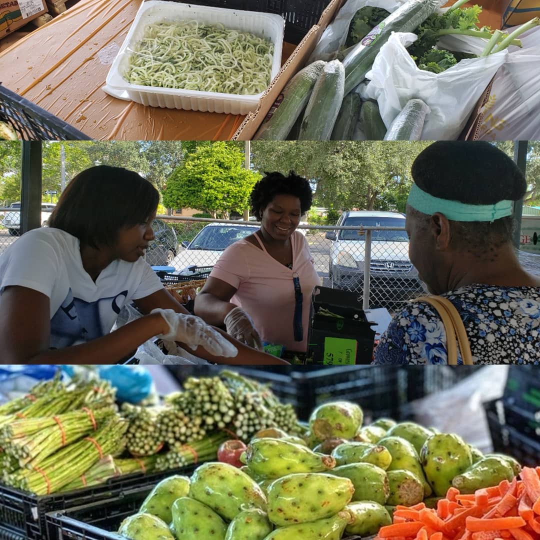 Thanks to the City of North Miami for providing the space, and Councilman Alix Desulme for stopping by to support! Special thanks to #TeamDotie volunteers: Marie, Olmise, Nellie, and Jesula.
Men anpil, chay pa lou (with many hands, the load is lighter).