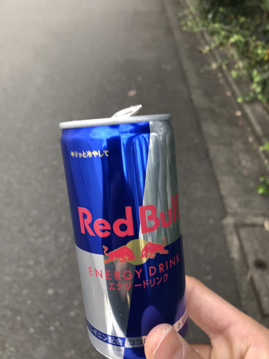 Media Tweets By Red Bull 愛好家 応援歌オタク Ponyana2 Twitter