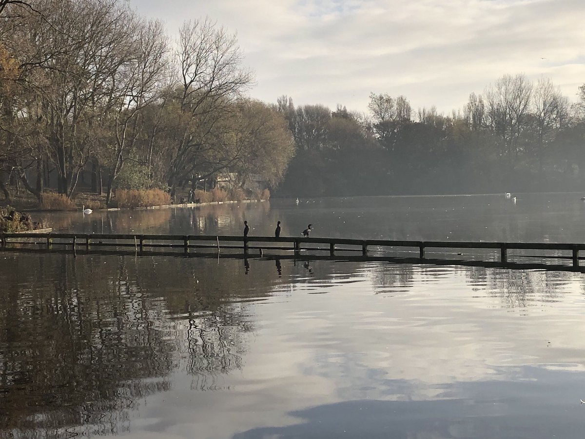 ChrisRColne's tweet image. Easier now.... #secondcircuit 🐕