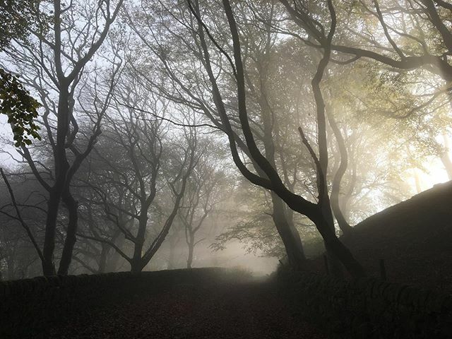 Atmospheric running #forthosethatcanttoday ift.tt/2WCL8uk