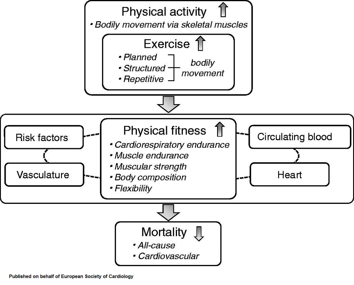 ESC_Journals's tweet photo. Is vigorous #physicalactivity once/twice per week enough for a superior cardiac outcome in outpatients with stable #CAD? Check the results from the CLARIFY Registry https://t.co/ONgU66mkvd
@m_piepoli @EAPCPresident #cardiotwitter @SSharmacardio https://t.co/UFkYZqKlwx