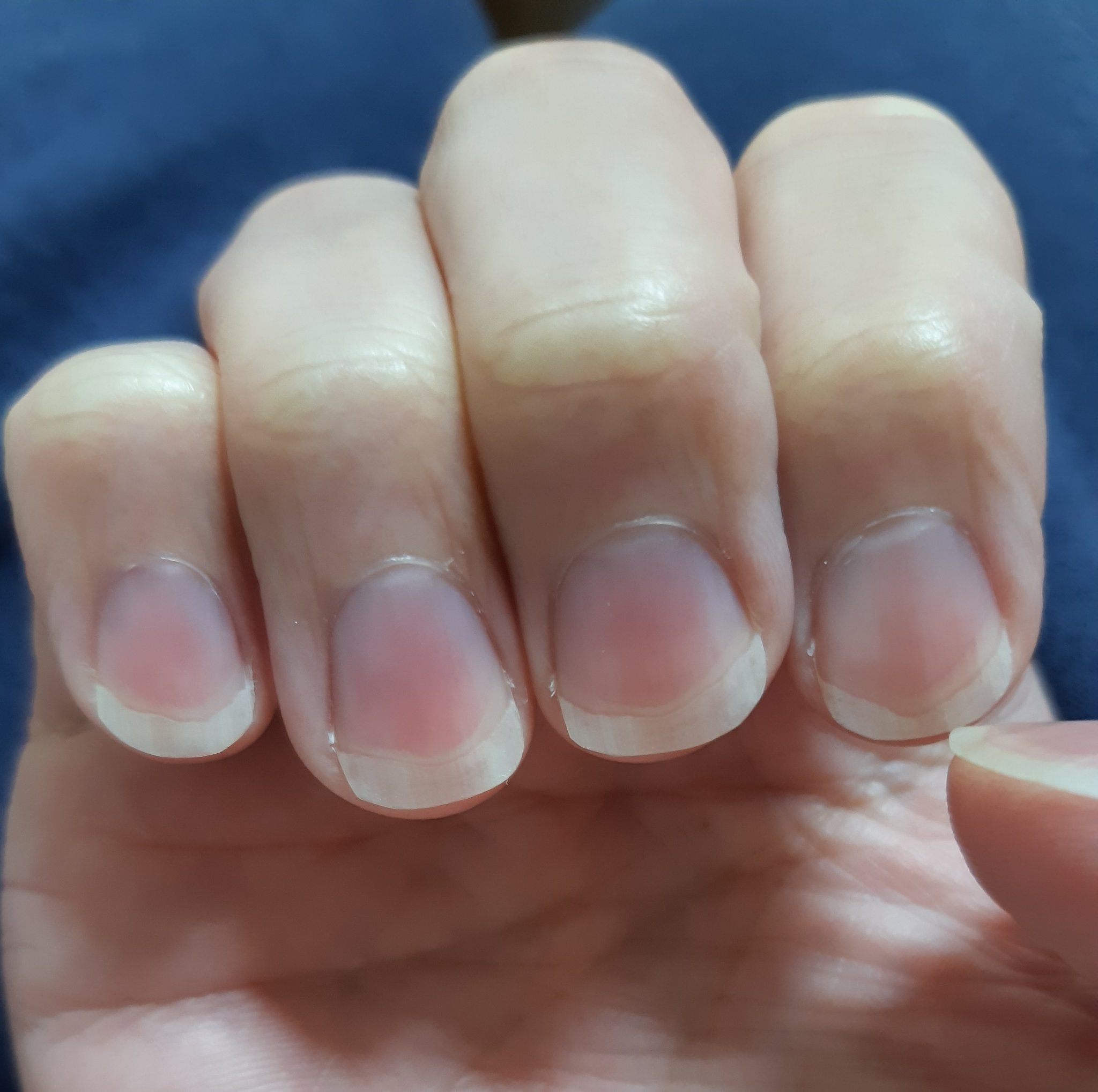 Nobu 扇形でペラペラな爪達 ネイルエンビー 検索中 T Co 3hchvftwcj Twitter