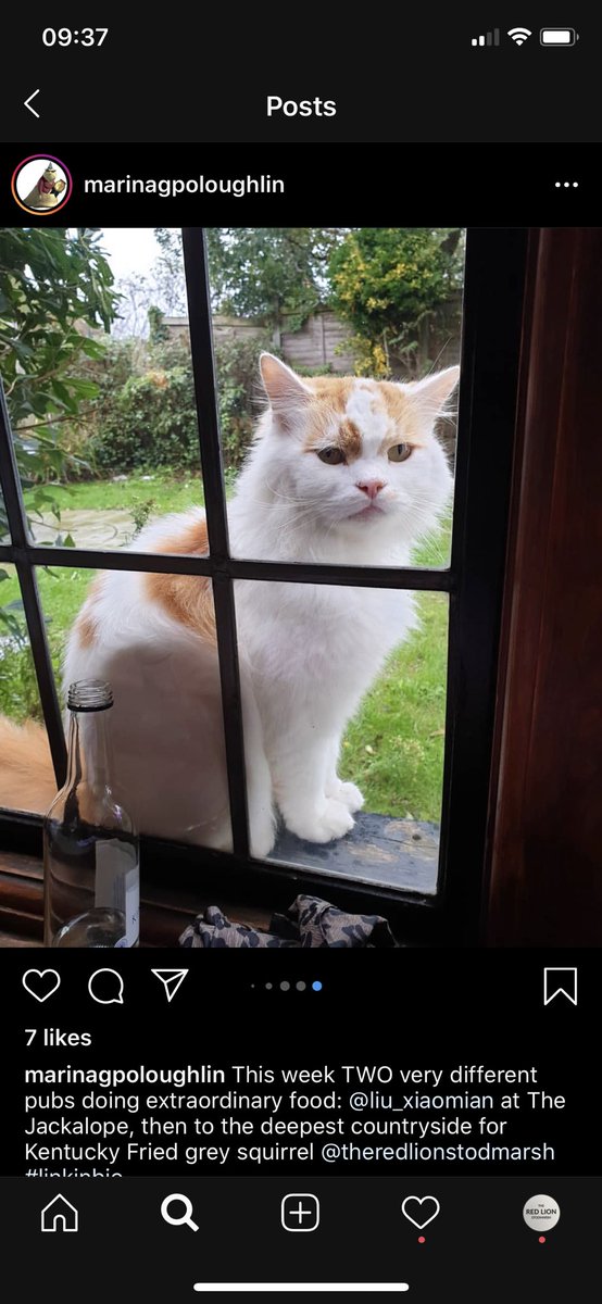 RedLionStod's tweet photo. @marinagpoloughlin thank you so much! It was a pleasure to have you, Monty says hi! 👍🐱😉
.
.
.
Don’t forget to vote for us in Taste of Kent Awards! https://t.co/BHyJ0Cp0SO
.
.
#sundaytimes #review #gardenofengland https://t.co/5OAqjTz2Q8