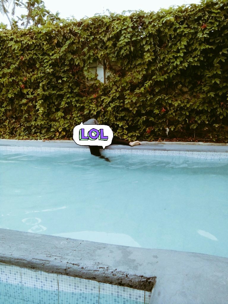 PipinMS's tweet photo. Disemua foto Bagus pasti ada perjuangan 😂😂 https://t.co/sYWMO8lR3h