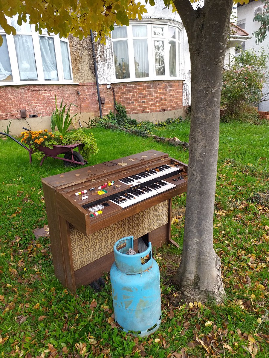 jfdwolff's tweet image. Still life: a clear example of end-stage organ dysfunction. #endorganfailure #organfailure