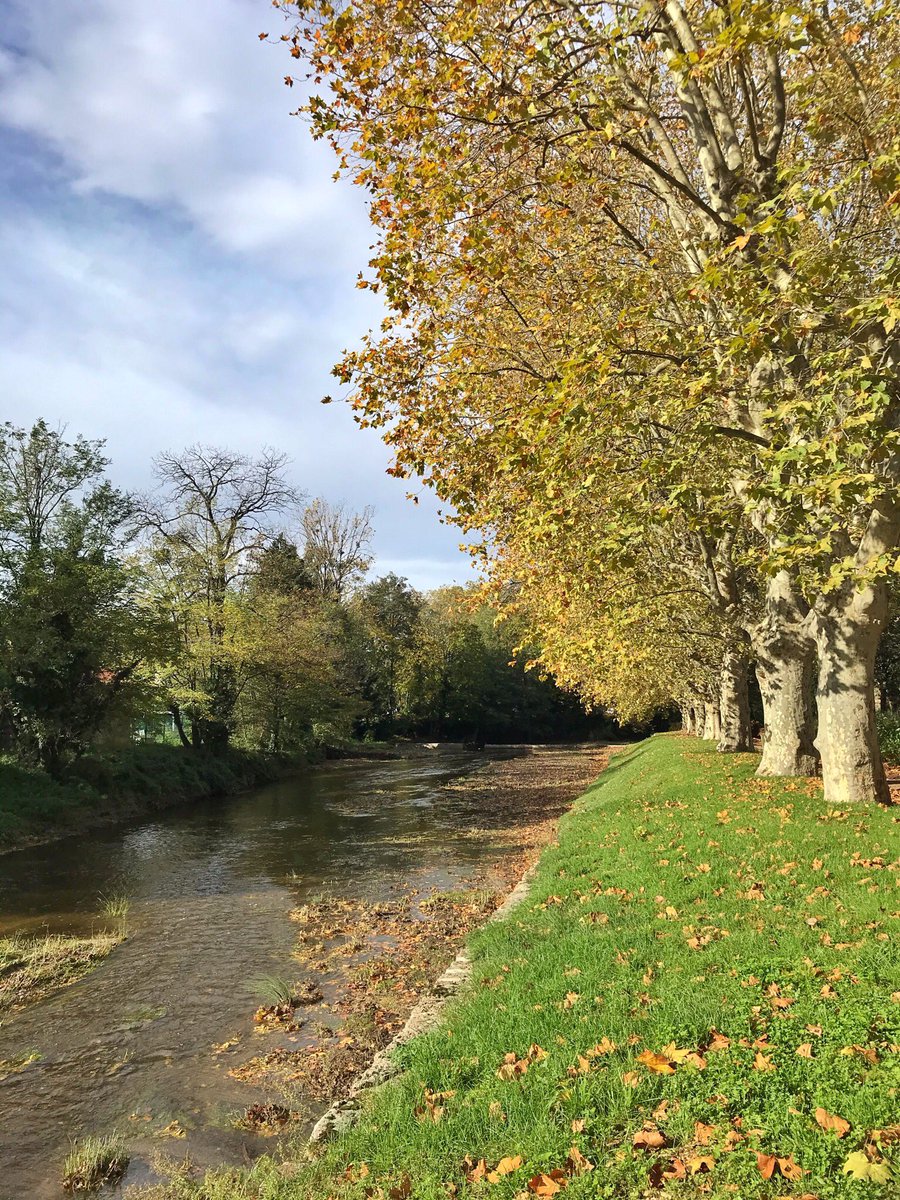 Automne au bord de la Coise <a href="/VilleStGalmier/">Ville Saint-Galmier</a> 
<a href="/SteMetropole/">Saint-Étienne Métropole</a> 
#saintgalmier #MagnifiqueFrance #automne