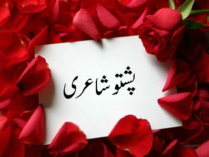 PashtoQataat's tweet photo. Subscribe our youtube channel 

https://t.co/nO91z06dz5 https://t.co/r05w9kpBo1