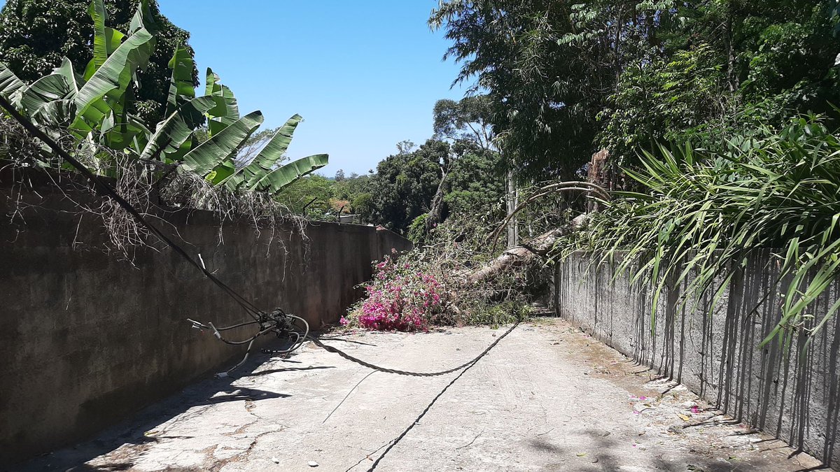 SaltGoldenRJ's tweet photo. @lightclientes 0411907080 falta de luz, queda de arvore com fios no meio da rua https://t.co/HXmwO7ebgC