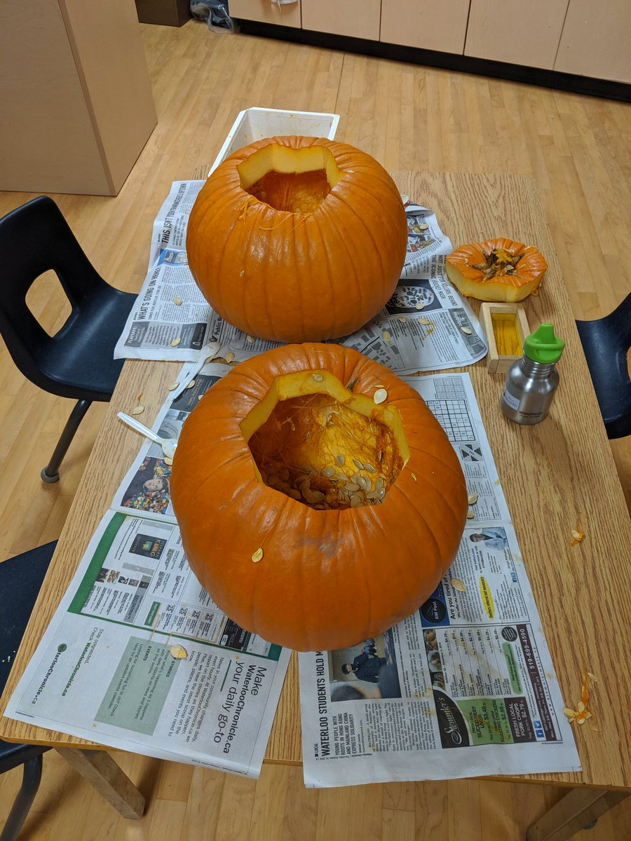 LNHfdk1's tweet photo. Washing, Carving, and displaying pumpkins. Amazing how many little ones didn't want anything to do with the slimey pumpkin innards. #noyoudoit #pumpkins #gross #pumpkinseedseverywhere #Kindergarten #halloween2019 https://t.co/KN2GxEPmOl