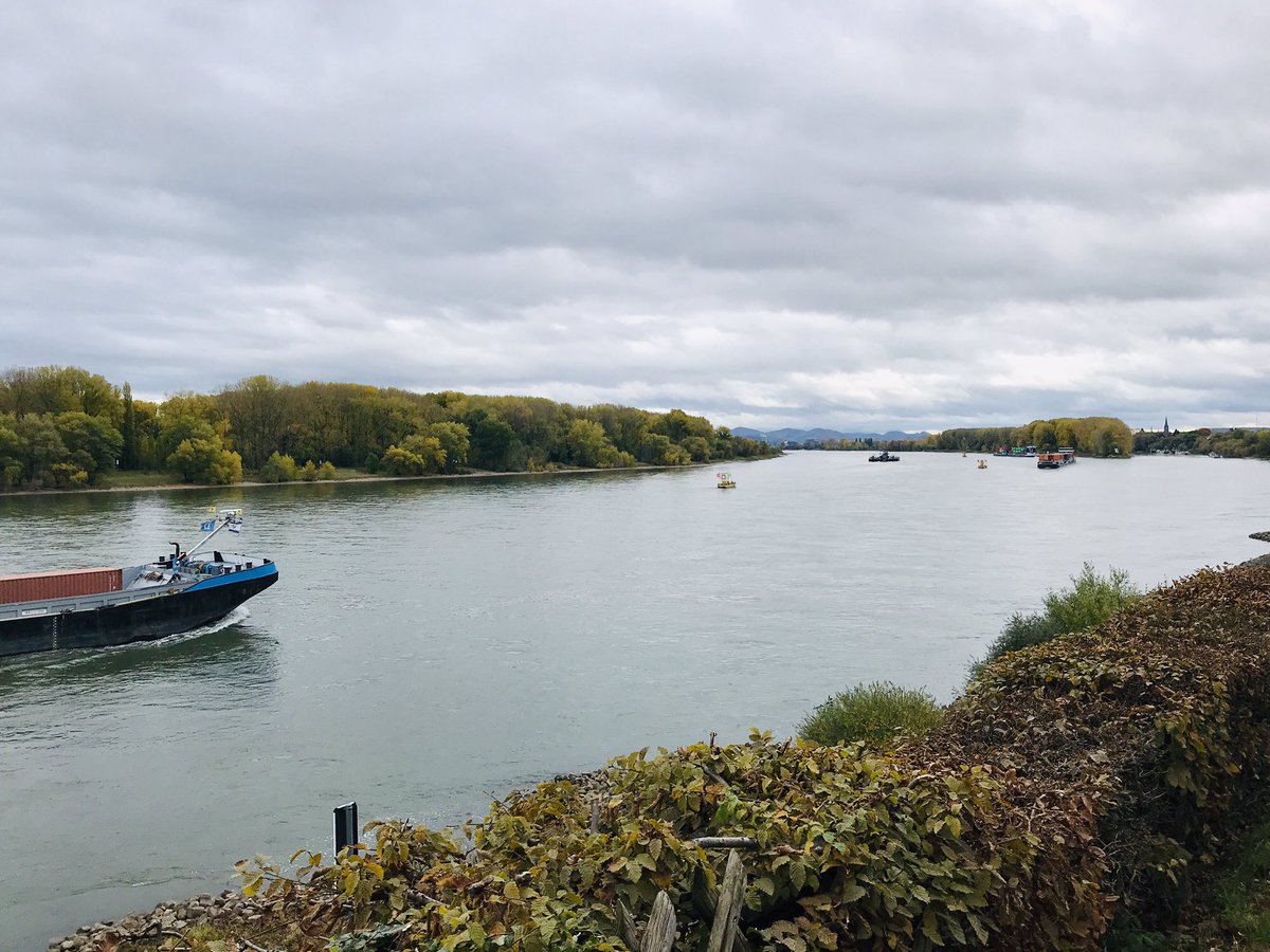 meikemeilen's tweet photo. Heute Mittagessen mit der Verwandtschaft am Rhein #widdig #rhein #deinnrw https://t.co/0sGlCyNv3t