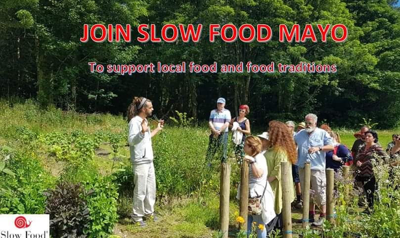 slowfoodmayo's tweet image. Would you like to be a part of growing local food community?
Connect with people who also care about the food?
Why not consider joining Slow Food Mayo 😏
We are promoting slow food lifestyle through education, workshops, etc 😊

members.slowfood.it/joinus/joinus_…
Click 'Mayo Convinium' 😍