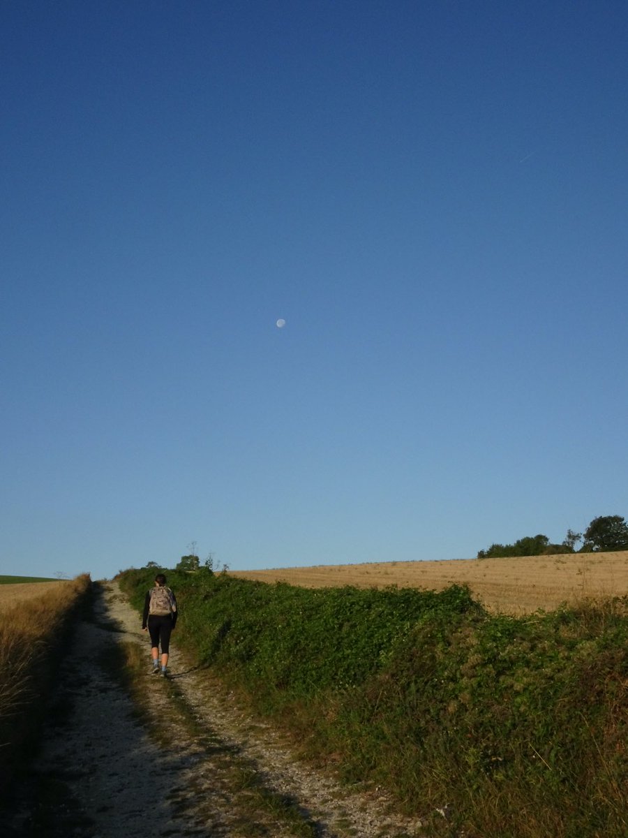 LongleyCook's tweet photo. Privileged to have the opportunity for ‘active meditation’ while walking the Southdown’s Way with Flora.   In such a frantic world, having a moment for mindfulness and reflection definitely recharges the spirit and puts things in their true perspective. https://t.co/tx02UD3zr8