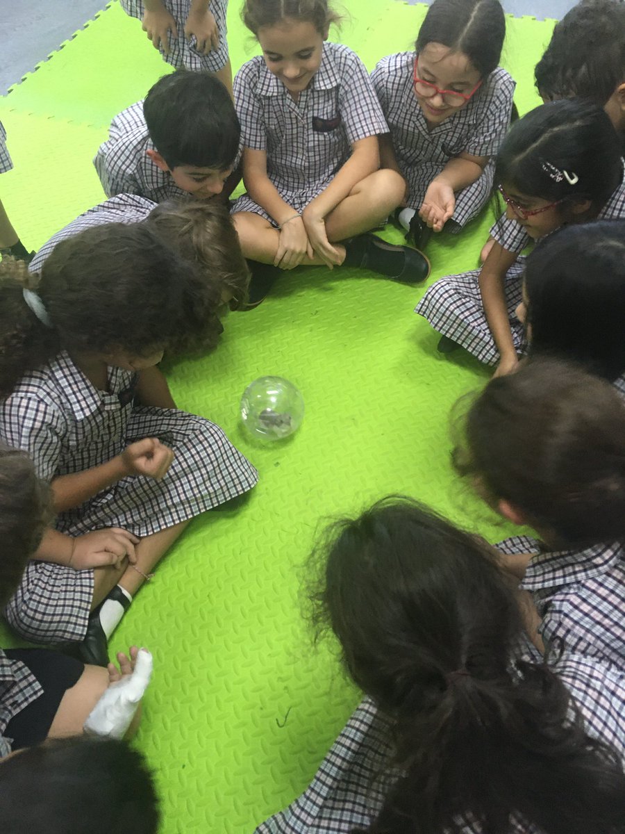 How do you know if something is living? Violet the Year 4 hamster came to visit us in science today to help us answer this question 🐹 <a href="/DBS_Primscience/">DBS_PrimScience</a> #science #livingthings #BeginsAtDBS