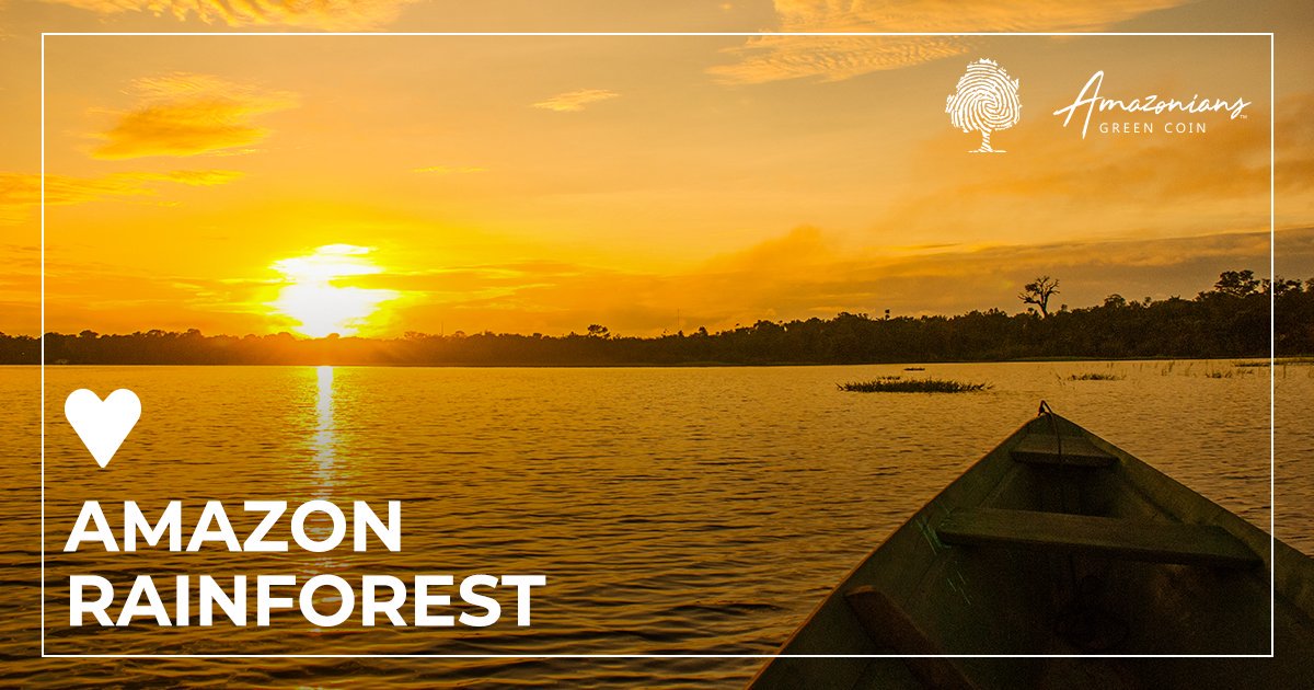 AmazoniansGC's tweet photo. Put like if you care about #AmazonRainforest.🙏
Good to know we are not alone in this 🥊
We care about Amazon Rainforest, and you? 💪
https://t.co/99p4FyuXIW
#amacoin #investment https://t.co/un9h3UZq1N
