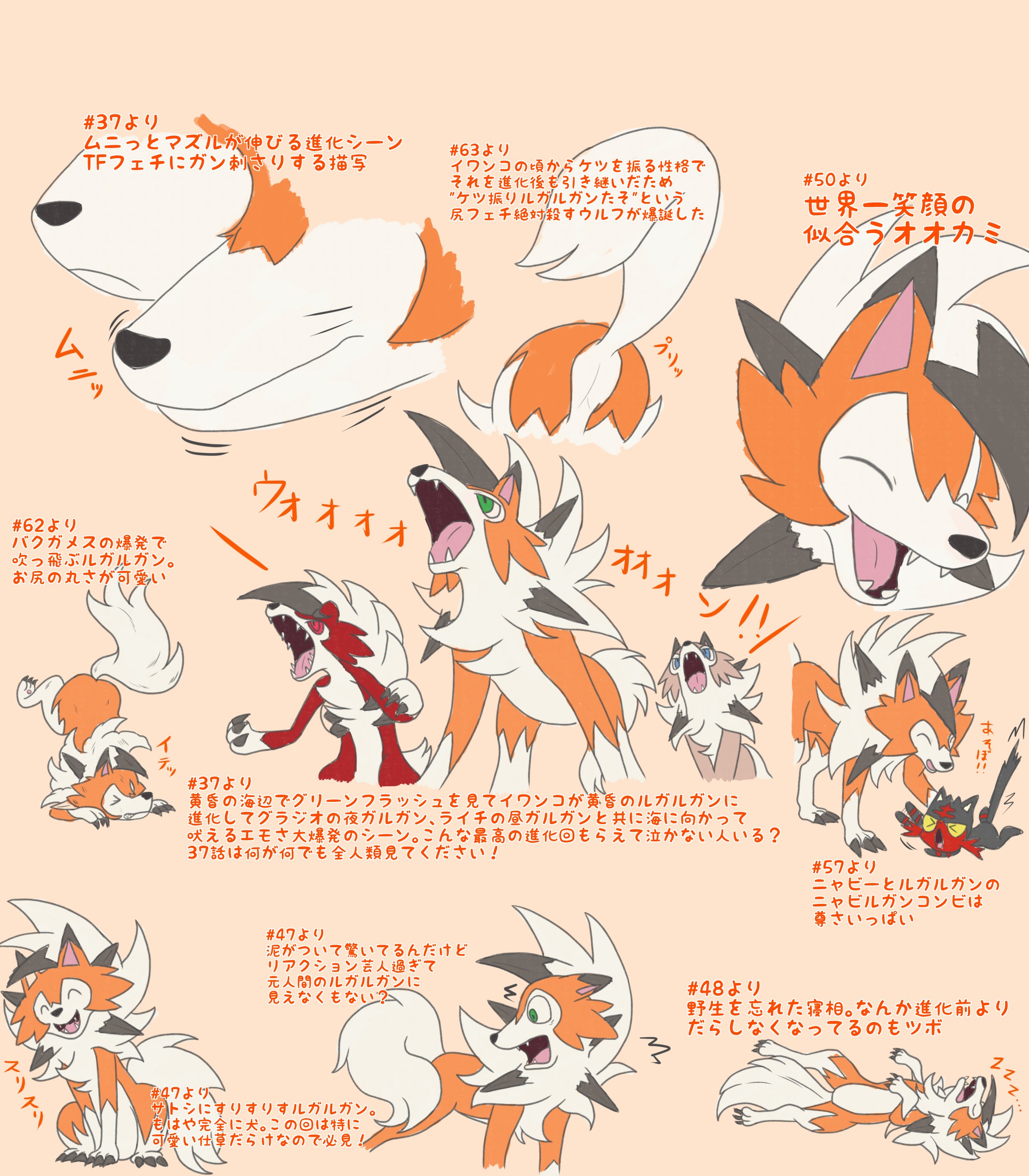 フェリル No Twitter 3年間かけて遺したルガルガンの尊さを永遠に語り継ぐために ルガルガンの名シーンをまとめました ルガルガンの尊さ 世界へ響け T Co Unpx3vgnje Twitter
