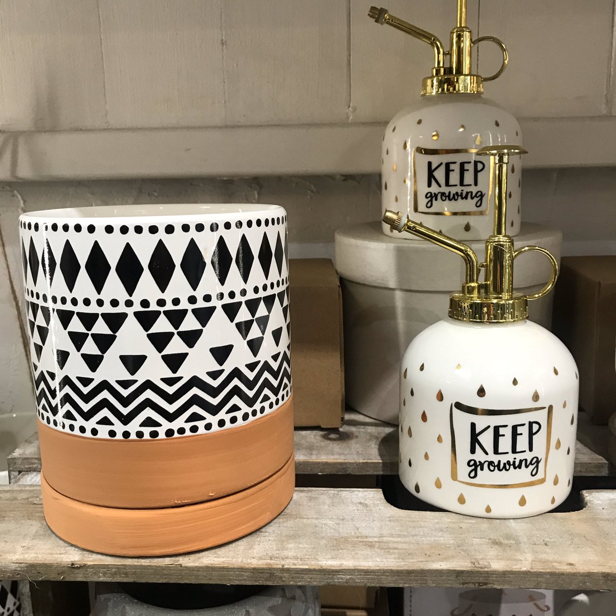 #sass&amp;belle #plantpots #shelfdecor #florist #floraldecor #weymouthbusiness #highstreetshopping #newstockin #plantdecor