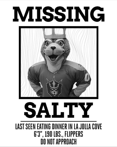 BigFrog619's tweet photo. #SALTY isn't missing!!!  He's putting in work on GAME DAY!!!  Pour that salt, my boy.  POUR THAT SALT!!!  #Chargers #SpanosSucks #BoltBackToSD https://t.co/pb3V65QexG