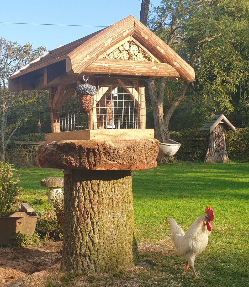 AndyCountryside's tweet image. Early Christmas present to me!!
I liked the #birdtable I built for a client so much I built myself one. Also has an on suite bath fed from the gutter and bug hotel attic. 🥰🙂