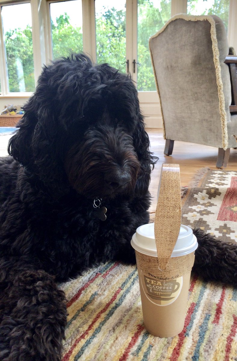 Leave...
#cup #cupholder #coffee #tea  #takeout #drink #drinks #cupcarrier #cafe #takeaway #carry