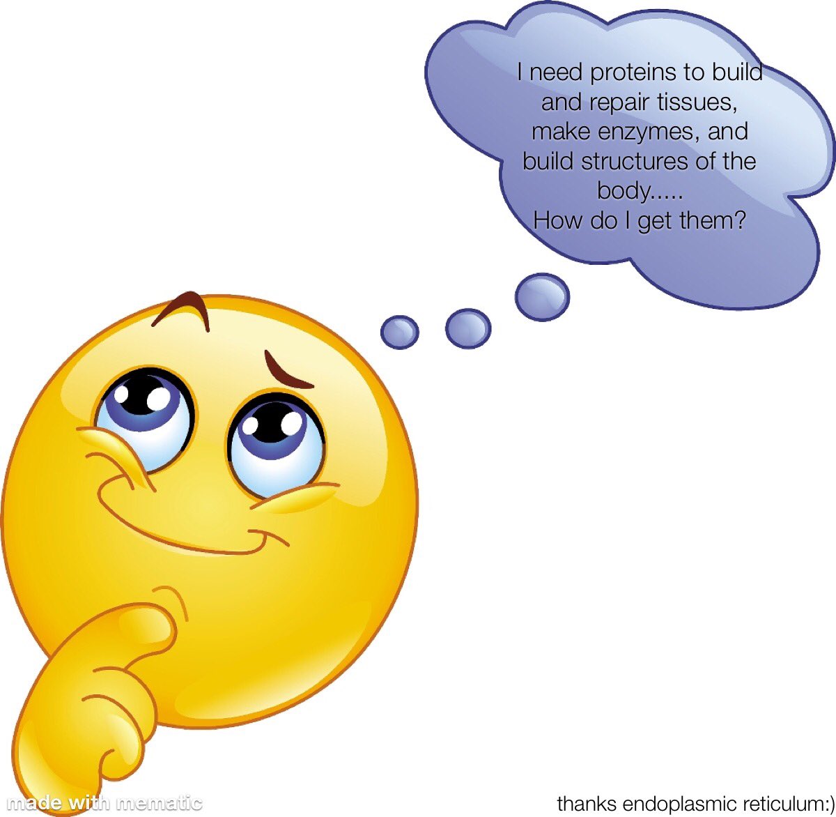 radticulum's tweet photo. Hmmmm I wonder how proteins are made..... oh wait it’s all thanks to the endoplasmic reticulum:) #endoplasmicreticulum #RADticulum #YAYproteins https://t.co/UGvuZK4Vvb