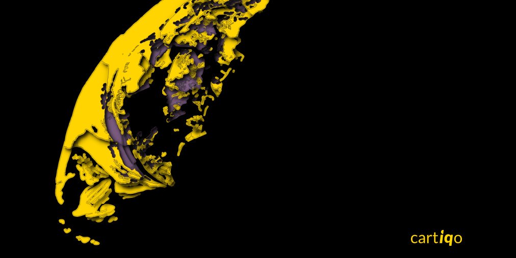 Dunes and heath on Texel