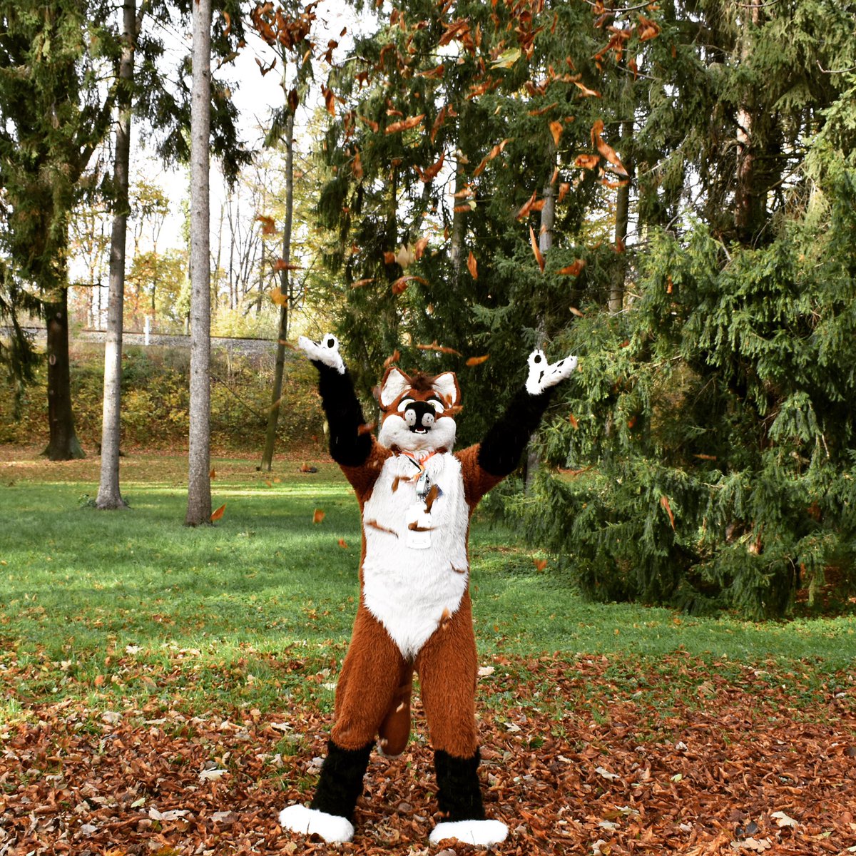 WereFoxAries's tweet photo. #Laub #laubwerfen #leaves #throwingleaves #prague #stromovkapark #werefoxaries #werefox #fursuit #stromovka https://t.co/9Yxwx3x0bc