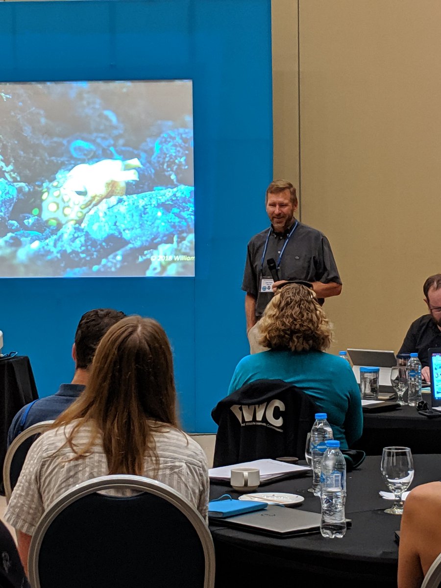 gcfi_fisheries's tweet photo. The Workshop to Improve the #Monitoring &amp; #Abundance Estimation of #FishSpawningAggregations is currently underway at #GCFI72

This workshop aims to build capacity &amp; advance the use of integrated technologies to enhance fisheries assessments in coral reef ecosystems

@NOAA https://t.co/xQLaX8RvpP