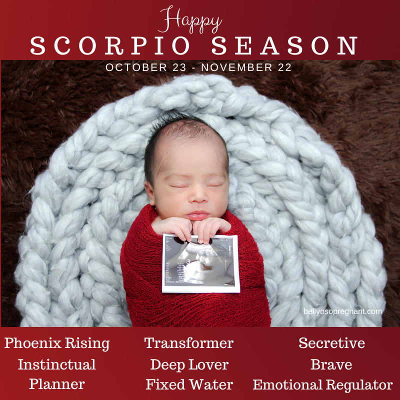 BellyOSo's tweet photo. Happy Scorpio Season 🦂 to babies born #October 23- #November 22 #HappyBornDay #BabyScorpios #HappyFlightDay #Scorps #StingBabySting #FallBaby #SolarReturn #PhoenixRising #DeepLover #FixedWater 💧 #BabyZodiac #Scorpios https://t.co/XTD7qK7M8n