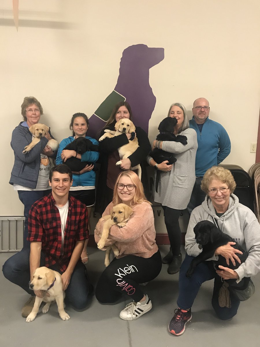 SSDOGS's tweet photo. Nine days ago, SSD Cider, SSD Chestnut II, SSD Aster, SSD Toby, SSD Quill, SSD Addison, &amp; SSD Delancey went home with their puppy raisers. Bringing home a puppy to raise as a service dog is a life-changing time! Join our amazing group of puppy raisers: https://t.co/YCRczdaxHM https://t.co/O2d6jwoaHN