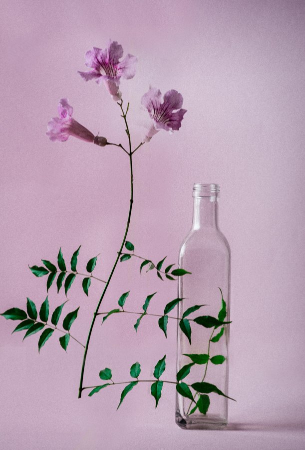 elnerviooptico's tweet image. "zona de confort" // "confort zone"

#conceptlight

@Flickr