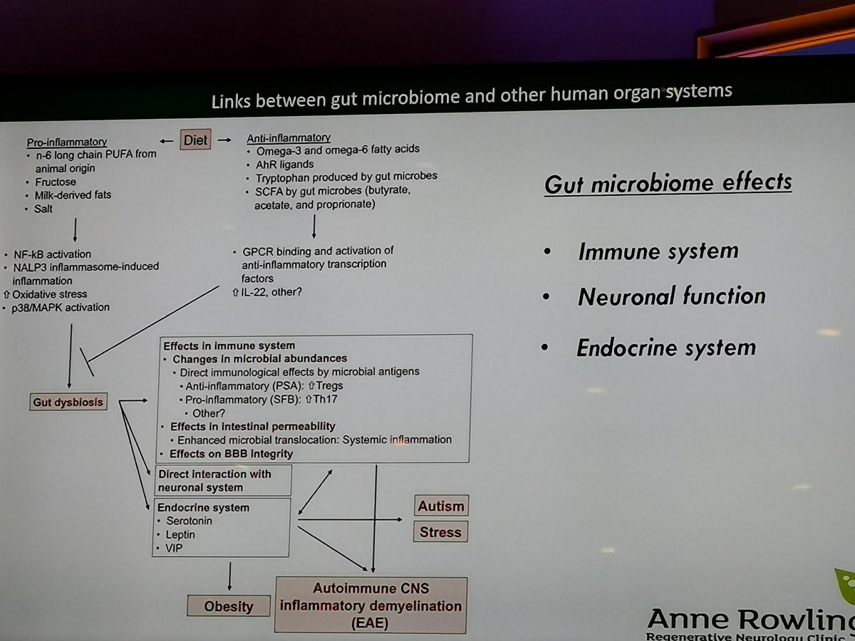 painfreeAPS's tweet image. How gut microbiome contributes to development of #MS, stress, obesity &amp;amp; autism. Now what to do about it? Hang on, I&apos;ll try &amp;amp; ask. At #MSTconf