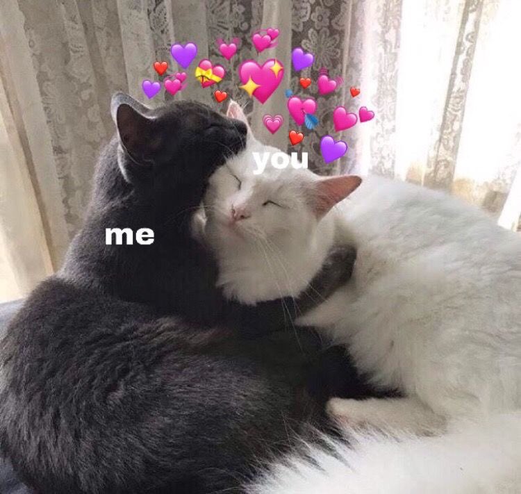 @close tweet media