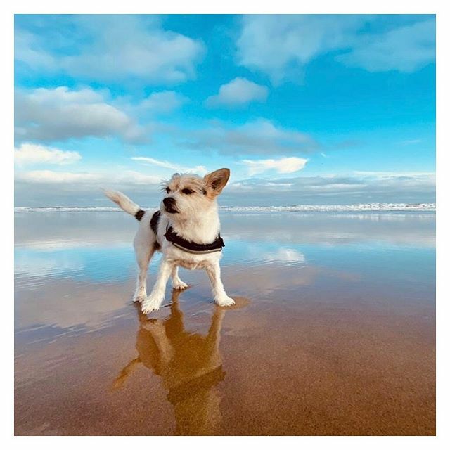 Seriously #nofilterneeded today in Tynemouth. Always great to get some sea air with the little one. ift.tt/2C9kwb2