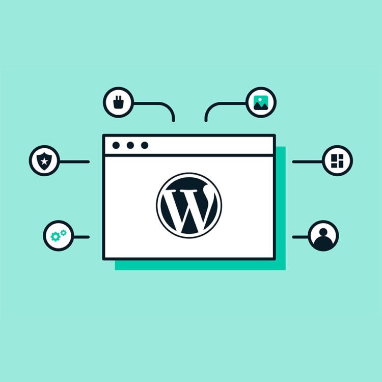 Why choose #Wordpress?

Because it is...

𝗦𝗖𝗔𝗟𝗔𝗕𝗟𝗘 
𝗦𝗘𝗖𝗨𝗥𝗘
𝗢𝗣𝗧𝗜𝗠𝗜𝗦𝗘𝗗 𝗙𝗢𝗥 𝗦𝗘𝗔𝗥𝗖𝗛 &amp; 𝗦𝗢𝗖𝗜𝗔𝗟

collectiveindustries.co.uk/marketing-desi…

#WordpressDesigner #WordpressDeveloper #freelancer