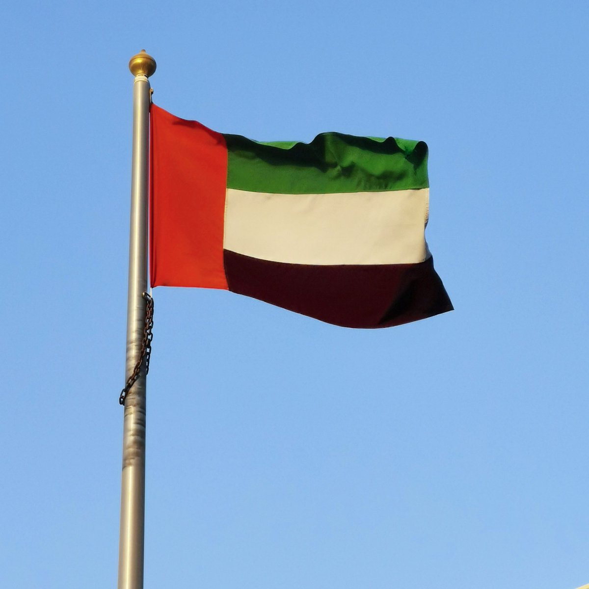 UAE Flag Day 🇦🇪 #UAEFlagDay #FlagDayUAE #RaiseItHigh #FlagDay #Flag_Day #Red #Green #White #Black #AlMuneera #AbuDhabi #Dubai #Sharjah #Ajman #Fujerah #OmAlQuain #RasAlKheema #UAE #November3 #يوم_العلم #الإمارات #نوفمبر3_يوم_العلم #نوفمبر_3