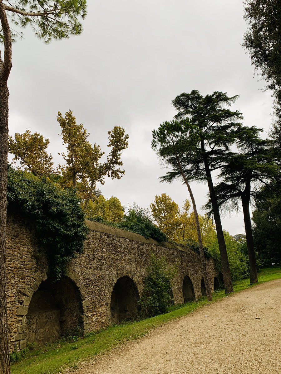 pagropagro's tweet photo. #fallinRome #fallinlove @TrastevereRM https://t.co/LQm5kuQ856