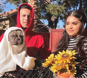 ThisIsYourAlien's tweet photo. Two of the best #frenchie costumes of #Halloween2019 https://t.co/fTax2WF0hu #frenchbulldog https://t.co/jGcda6TBu1