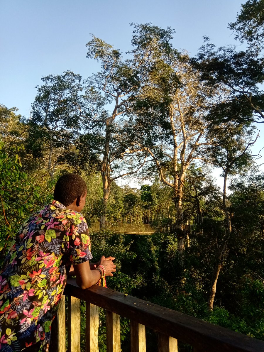 joseolupot's tweet image. &quot;The #forest of the #heart is never cleared of it&apos;s #trees&quot; 
The #YouthinLandscapes camp, #hACCRAthon, and #GLFAccra2019 have been events that have planted more seeds of #landscape #restoration in me and the world will enjoy the #fruits one day 
#ThinkLandscape 
Medase @GlobalLF