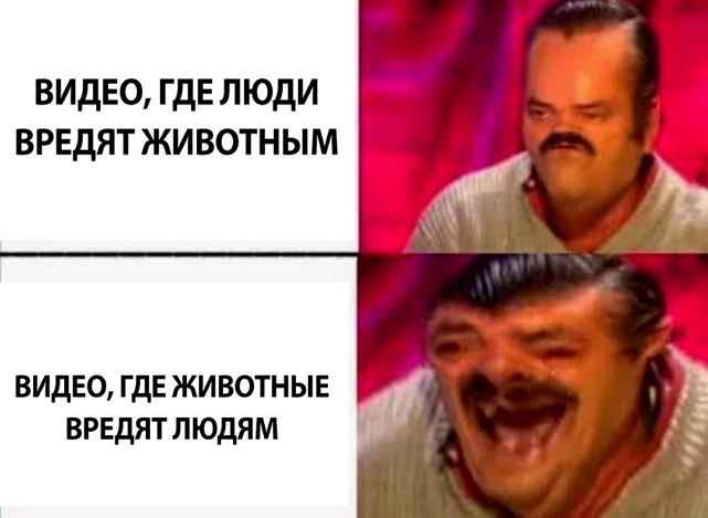 EIdSZYWWkAA4t9l?format=png&name=small