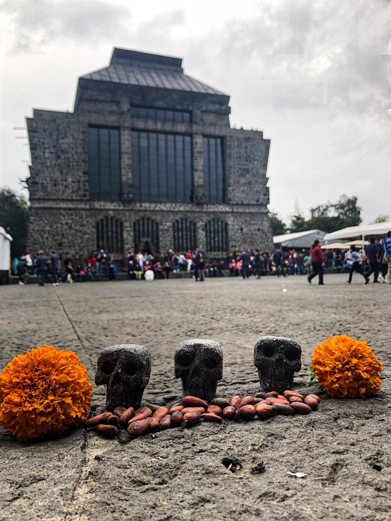 cacaoparatodos's tweet photo. ¡Último día en el increíbleMuseo @anahuacalli del 10° Festival Cacao Para Todos en el marco de la celebración de #DíaDeMuertos! 

#CacaoParaTodos #ChocolateMexicano #Tradiciones #México #Coyoacán #Anahuacalli https://t.co/sUZwQJsS7x