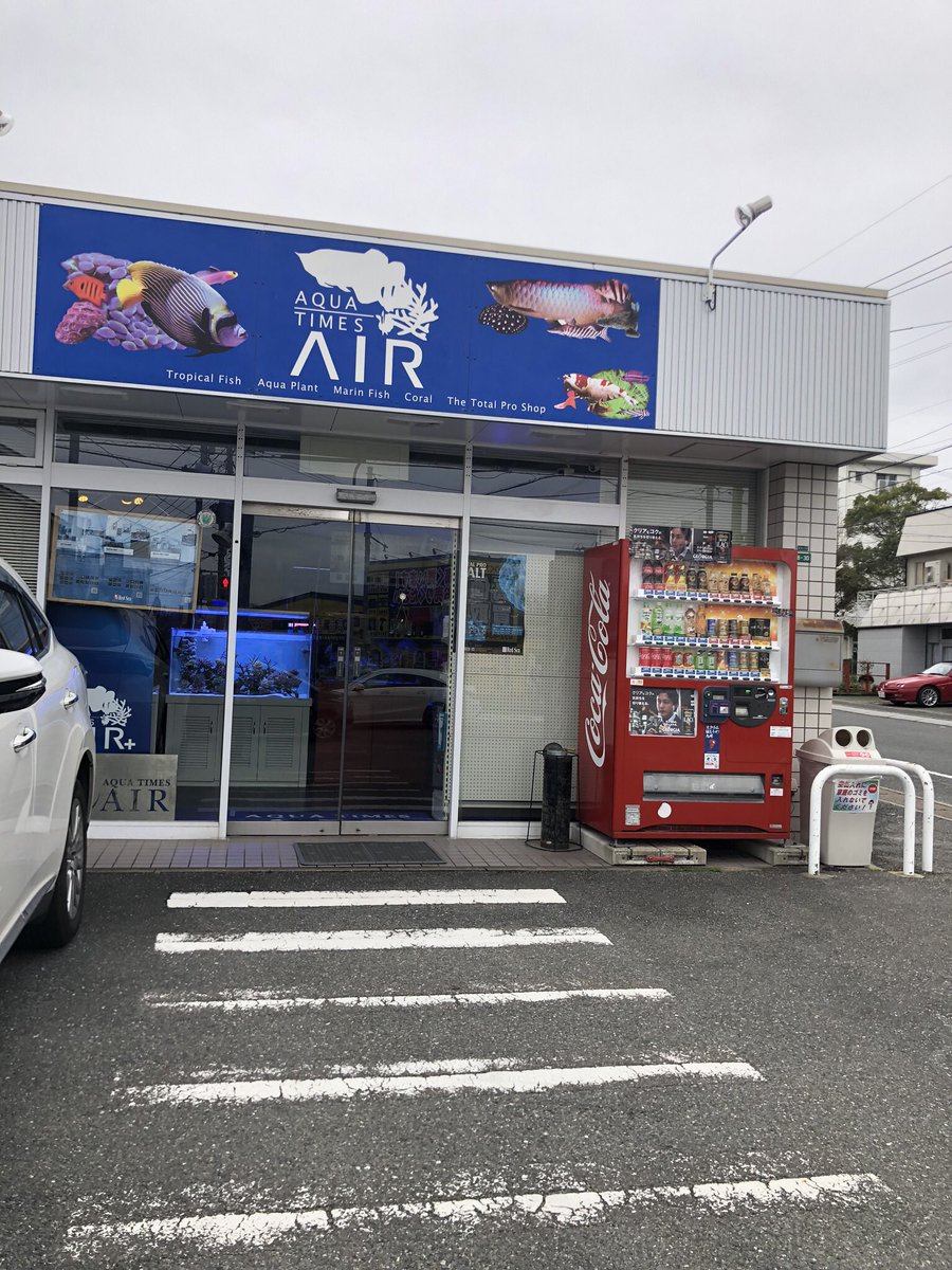 ゆっくん 海水魚見て回るの大好き 巡回先 福岡北九州グッピー 福岡早良区アクアタイムズエアー 福岡博多区アクアランド 福岡筑紫野市ひごペット 佐賀三養基アクアシー 佐賀上峰アクアペット佐賀 長崎市昭和アクアペット長崎 長崎佐世保市ディー